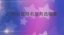 广州谷歌排名服务选哪家 广州越秀谷歌排名选哪家