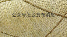 公众号怎么发布消息 公众号消息怎么删除