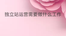 独立站运营需要做什么工作 独立站运营需要做哪些