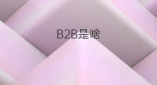 B2B是啥 b2b都有啥
