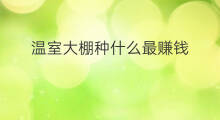 温室大棚种什么最赚钱 温室大棚种什么赚钱