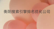 衡阳搜索引擎排名优化公司 衡阳搜索引擎排名优化软件