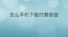 怎么手机下载付费歌曲 哪里下载付费歌曲