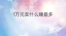 1万元卖什么赚最多 1万元怎么赚