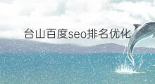 台山百度seo排名优化 seo百度排名优化