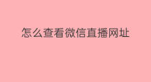 怎么查看微信直播网址 如何查看微信直播的网址