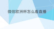 微信欧洲杯怎么看直播 欧洲杯直播的无人机怎么样