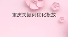 重庆关键词优化投放 重庆关键词搜索优化