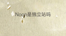 Noon是独立站吗 独立站是国际站吗
