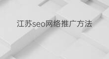 江苏seo网络推广方法 广元seo网络推广方法