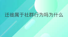 迁徙属于社群行为吗为什么 迁徙属于社群行为吗知乎