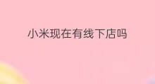 小米现在有线下店吗 长春冬奥线下店现在有吗