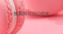 搜索网站SEO优化 龙城搜索网站优化排名