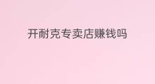 开耐克专卖店赚钱吗 袜子专卖店赚钱吗