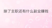 除了主职还有什么副业赚钱 除了演戏还有什么副业