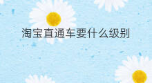 淘宝直通车要什么级别 淘宝直通车什么