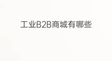 工业B2B商城有哪些 b2b商城优化