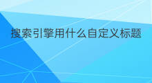 搜索引擎用什么自定义标题 搜索引擎用什么自定义