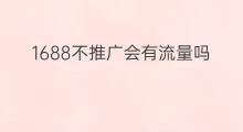 1688不推广会有流量吗 快手推广会员怎么买
