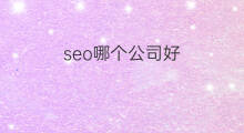 seo哪个公司好 浙江seo哪个公司好