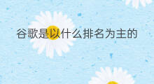 谷歌是以什么排名为主的 谷歌是以什么排名为准呢