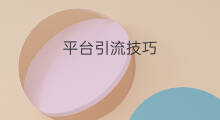 平台引流技巧 引流技巧