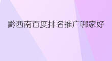 黔西南百度排名推广哪家好 百度推广排名哪家好
