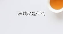 私域品是什么 私域流浪是什么
