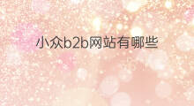 小众b2b网站有哪些 垂直b2b网站有哪些