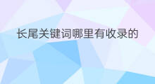 长尾关键词哪里有收录的 优化长尾关键词