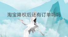 淘宝降权后还有订单吗吗 淘宝降权恢复后还有流量吗