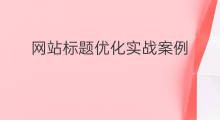 网站标题优化实战案例 天津网站优化排名案例