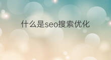 什么是seo搜索优化 seo优化搜索
