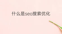 什么是seo搜索优化 seo优化搜索