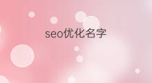 seo优化名字 搜索引擎优化名词解释英语