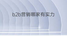 b2b营销哪家有实力 b2b仓库托管哪家有实力