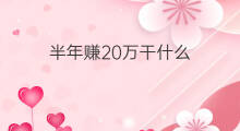 半年赚20万干什么 干什么买卖一年能赚20万