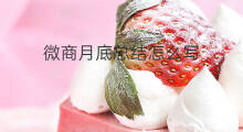 微商月底总结怎么写 微商的课后总结怎么写