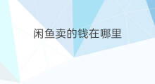 闲鱼卖的钱在哪里 闲鱼的钱在哪里