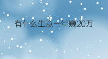 有什么生意一年赚20万 什么生意一年能赚20万