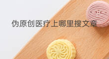 伪原创医疗上哪里搜文章 伪原创文章在哪里
