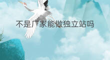 不是厂家能做独立站吗 做独立站怎么联系厂家