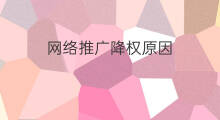 网络推广降权原因 降权原因