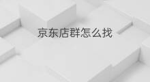 京东店群怎么找 京东怎么找同行店群