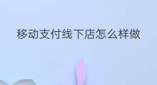 移动支付线下店怎么样做 支付宝线下店经济怎么样