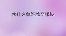 养什么龟好养又赚钱 农村养什么好养又赚钱