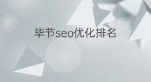 毕节seo优化排名 毕节优化seo