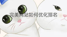 完美网站如何优化排名 网站排名网站排名优化优化