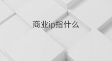 商业ip指什么 商业ip是什么