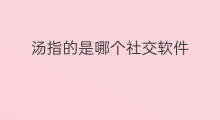 汤指的是哪个社交软件 社交软件哪个好学